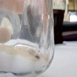 Múzeumkert Étterem & Koktél Bár Esztergom - Belső