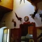 Hotel Odvaskő Bakonybél - Belső