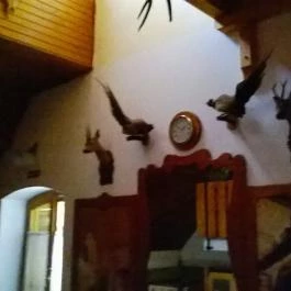 Hotel Odvaskő Bakonybél - Belső