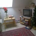 Tölgy Lak Apartman Pilisszentkereszt - Belső