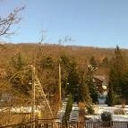 Tölgy Lak Apartman Pilisszentkereszt - Környék