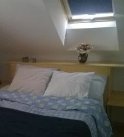 Tölgy Lak Apartman