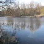 Hotel Orchidea Tengelic Tengelic - Környék