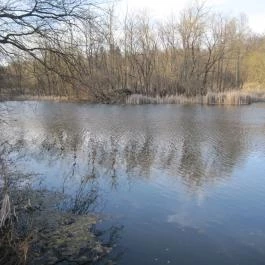 Hotel Orchidea Tengelic Tengelic - Környék