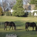 Hotel Orchidea Tengelic Tengelic - Környék