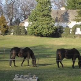 Hotel Orchidea Tengelic Tengelic - Környék