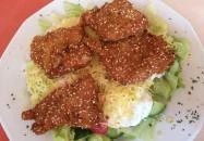 Macska Fogadó étterme Martonvásár