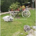 Kastély Villa Miskolc - Medence/kert