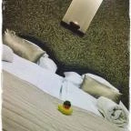 Royal Apartment Kecskemét Kecskemét - Szobák