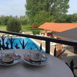 Villa Plattensee Vonyarcvashegy - Medence/kert