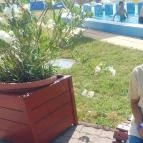 Akácliget Gyógy- és Strandfürdő Karcag - Egyéb