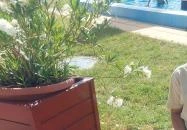 Akácliget Gyógy- és Strandfürdő Karcag