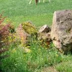 Nagyerdei Kultúrpark: Állatkert & Vidámpark Debrecen - Egyéb