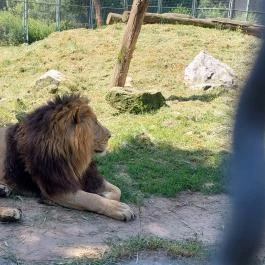 Nagyerdei Kultúrpark: Állatkert & Vidámpark, Debrecen - Egyéb