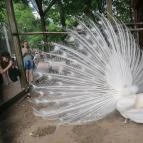 Sóstó Zoo - Nyíregyházi Állatpark Ócenárium Nyíregyháza - Egyéb