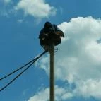 Sóstó Zoo - Nyíregyházi Állatpark Ócenárium Nyíregyháza - Egyéb