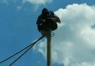 Sóstó Zoo - Nyíregyházi Állatpark Ócenárium Nyíregyháza