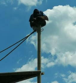 Sóstó Zoo - Nyíregyházi Állatpark Ócenárium