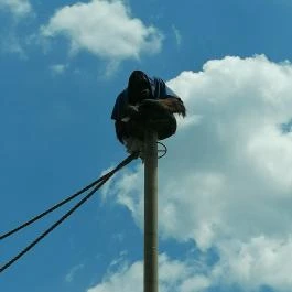 Sóstó Zoo - Nyíregyházi Állatpark Ócenárium, Nyíregyháza - Egyéb