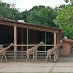 Sóstó Zoo - Nyíregyházi Állatpark Ócenárium Nyíregyháza - Egyéb