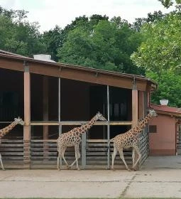 Sóstó Zoo - Nyíregyházi Állatpark Ócenárium
