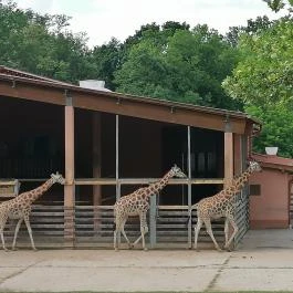 Sóstó Zoo - Nyíregyházi Állatpark Ócenárium, Nyíregyháza - Egyéb
