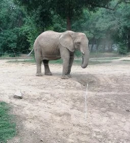 Sóstó Zoo - Nyíregyházi Állatpark Ócenárium