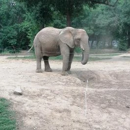 Sóstó Zoo - Nyíregyházi Állatpark Ócenárium, Nyíregyháza - Egyéb