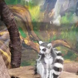 Sóstó Zoo - Nyíregyházi Állatpark Ócenárium, Nyíregyháza - Egyéb