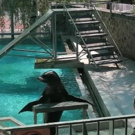 Sóstó Zoo - Nyíregyházi Állatpark Ócenárium, Nyíregyháza - Egyéb