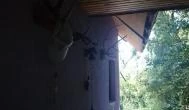 Szentesi Farm Balatonalmádi - Egyéb Szentesi Farm Balatonalmádi - Egyéb