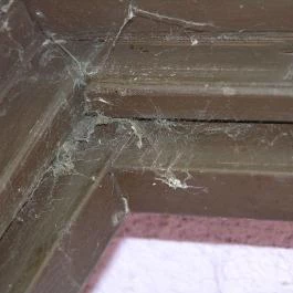 Szentesi Farm, Balatonalmádi - Egyéb