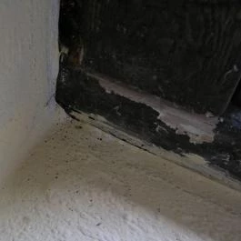 Szentesi Farm, Balatonalmádi - Egyéb