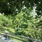 Judit Panzió Tapolca-Gyulakeszi - Wellness