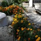 Judit Panzió Tapolca-Gyulakeszi - Medence/kert