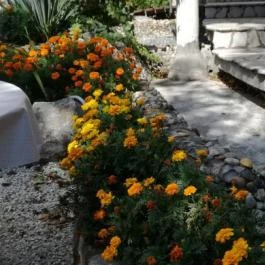 Judit Panzió Tapolca-Gyulakeszi - Medence/kert