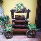 Nyerges Hotel Termál Monor - Medence/kert