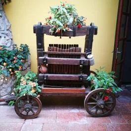 Nyerges Hotel Termál Monor - Medence/kert