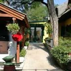 Nyerges Hotel Termál Monor - Medence/kert