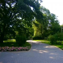 Park Hotel Gyula Gyula - Környék