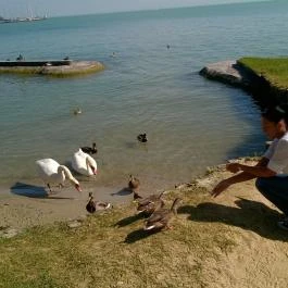 Hotel Marina Balatonfüred - Környék