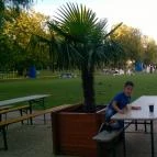 Hotel Marina Balatonfüred - Medence/kert