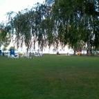 Hotel Marina Balatonfüred - Medence/kert