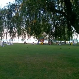 Hotel Marina Balatonfüred - Medence/kert