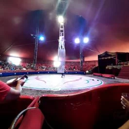 Richter Safari Park Nagykőrös - Egyéb