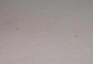 Hotel Sárga Csikó Miskolc