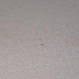 Hotel Sárga Csikó, Miskolc - Egyéb