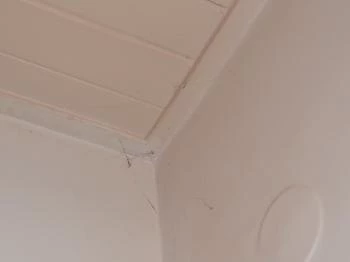 Hotel Sárga Csikó Miskolc