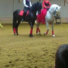 Hotel Kapitány Superior Wellness Sümeg - Környék