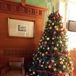 Mercure Székesfehérvár Magyar Király, Székesfehérvár - Belső